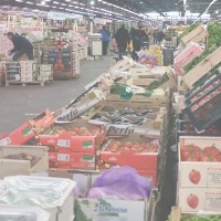 fruta-mercamadrid-ortiz-corredores-alexis-5 fruta-mercamadrid-ortiz-corredores-alexis-5